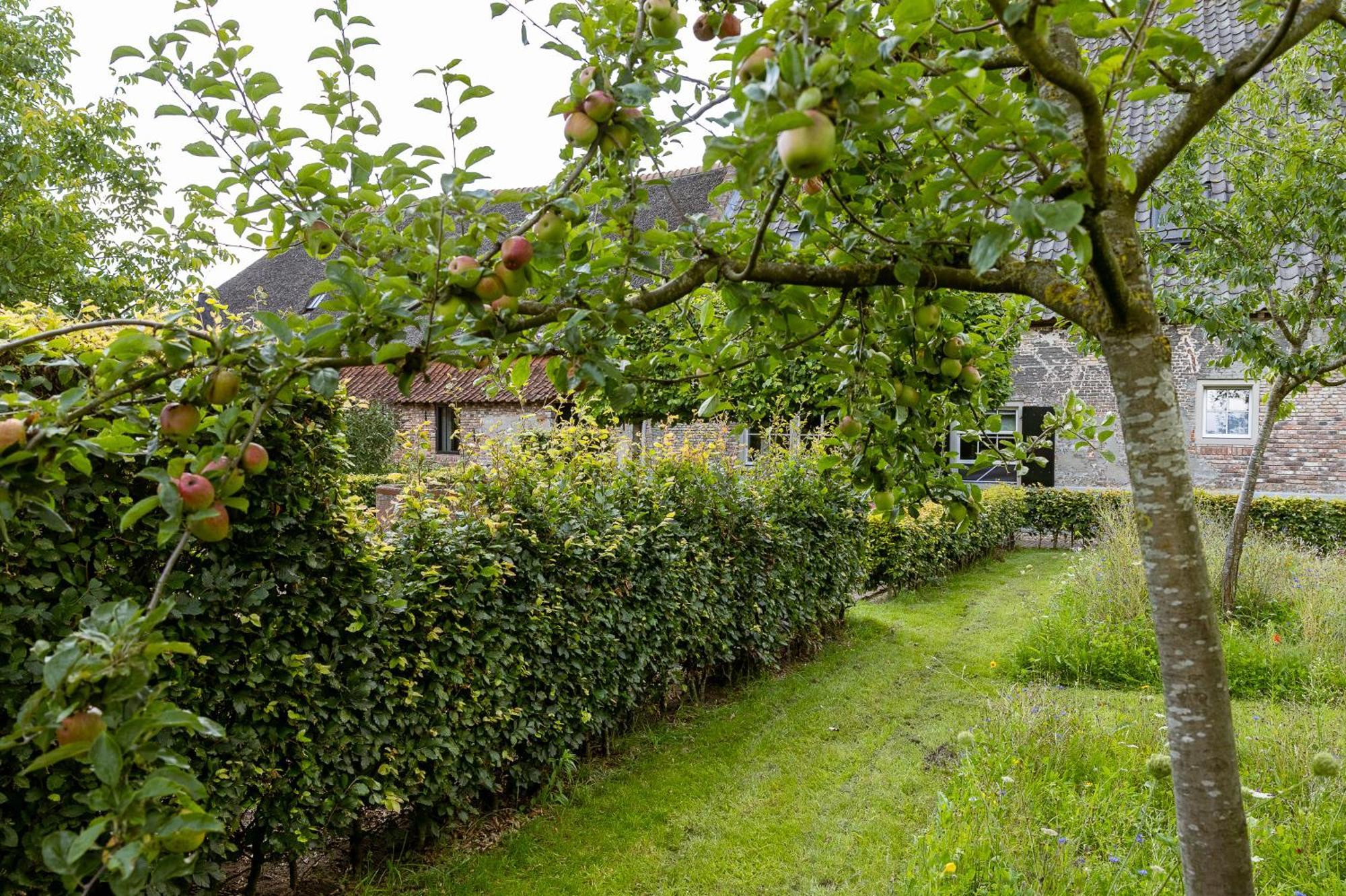 Den Eijngel Bed And Breakfast Boxtel Exterior foto
